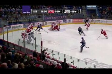 Adam Ruzicka 22nd goal in season Sudbury Wolves (OHL) 18/19