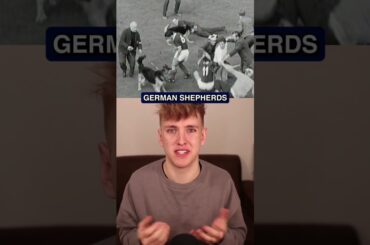 The Footballer Who Was Bitten By Animals On The Pitch