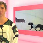 November 27, 2015 Tyler Irvine