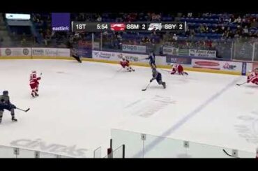 Adam Ruzicka 23rd goal in season Sudbury Wolves (OHL) 18/19