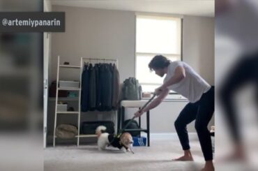 Columbus Blue Jackets' Artemi Panarin practices stickwork with dog