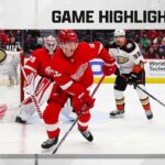 Ducks @ Red Wings 1/31/22 | NHL Highlights