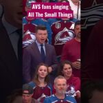 Avalanche Fans Rocking Out To Blink-182 At The Stanley Cup Final 🔥 🔥