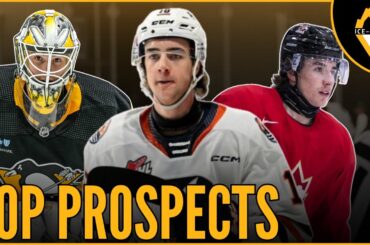 2024 Draft Picks Among Best in Penguins System