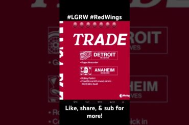 Detroit Red Wings trade Robby Fabbri to Anaheim Ducks! #shorts #shortvideo #lgrw #detroitredwings