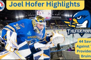 Joel Hofer 44 Saves Against Providence Bruins | Highlights