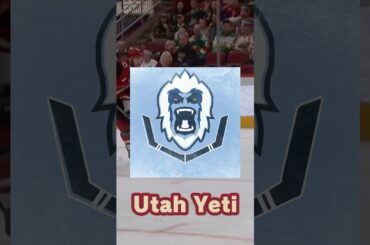 THE TOP 13 NAMES FOR THE UTAH NHL TEAM #utahhockey