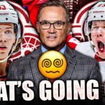 RED WINGS UPDATE: WHAT'S GOING ON W/ LUCAS RAYMOND & MORITZ SEIDER