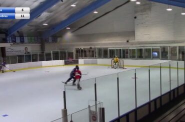 Division 1 - The Holes vs Purple Cobras