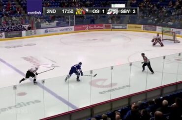 Adam Ruzicka 26th goal in season Sudbury Wolves (OHL) 18/19