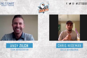 Gulls At Home - Chris Wideman