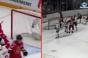 SchoolOfOZ - Gustav Nyquist vs Steve Yzerman's goal