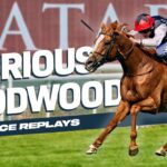 Qatar Goodwood Festival Replays: Day One Ft. Kyprios and Audience