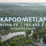 Kickapoo Wetlands Texas Hunting Property with Log Cabin East of Dallas