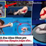 😱 Team USA Diver Alison Gibson Gets Humiliating ZERO from Olympics Judges 🏊‍♀️ Olympics Paris 2024