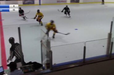 Division 1 - Grizzlies vs Great Guys