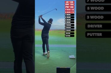 Most satisfying golf video ever