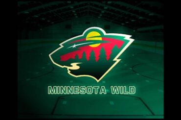 Minnesota Wild Goal Horn