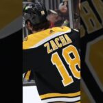 Pavel Zacha posílí Česko na MS 2024! 🔥🤩🇨🇿