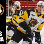 NHL Prospects : Tomas Hamara - 23-24 Highlights