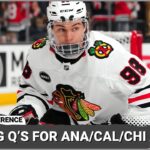 Burning Questions for Anaheim, Calgary and Chicago for 2024-25! #nhl #ducks #flames #blackhawks