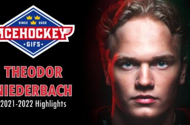 Theodor Niederbach - 2021/2022 SHL Highlights