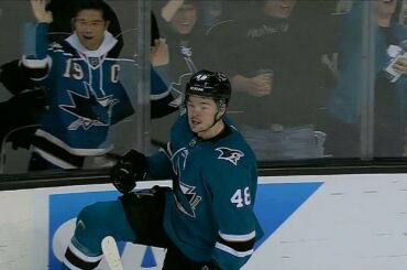 Tomas Hertl Series-Winning Goal @ Ducks. Game 4 (18.04.2018)