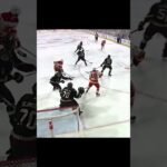 GOAL  Jakob Pelletier  Flames vs Coyotes  NHL 2022 23#shorts