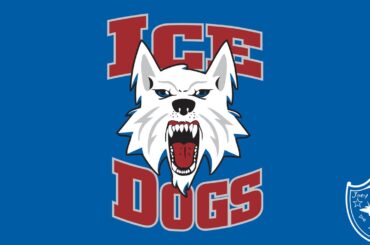 Fairbanks Ice Dogs 2022-23 Goal Horn