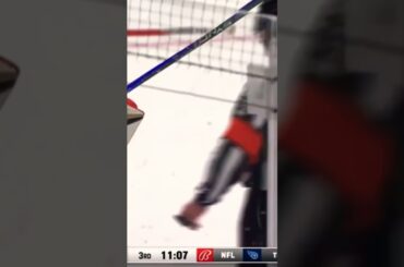 John Gibson Stick in Skate