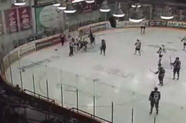 Alex Petrovic vs Dylan McIlrath.wmv