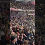 Picture Perfect Petro to Pavel Dorofeyev 🤌 #hockey #nhlplayer #nhlicehockey #hockeyplayer #nhl