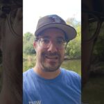 Lysell, Merkulov among those cut from #NHLBruins camp with 3 preseason games left