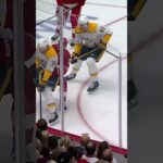 Soaring stick saga 🏒🪽