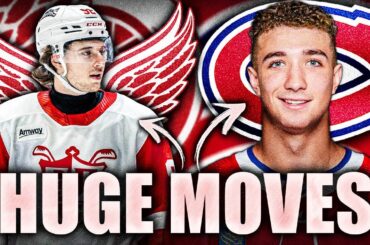 HABS & RED WINGS MAKE SOME HUGE MOVES: LOGAN MAILLOUX & MARCO KASPER CALLED UP + LOTS OF INJURY NEWS