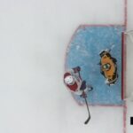 Jeremy Swayman Shoves Nick Suzuki