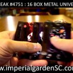 IMPERIAL GARDEN SPORTS DAILY STREAM! LETS GO!