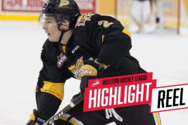 2018-19 HIGHLIGHT REEL | Braden Schneider