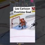 Leo Carlsson Overtime Beauty #goal #nhl #hockey #sports #ducks #anaheim #overtime