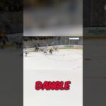 Danton Heinen is living out every #Canucks fan’s dream! #nhl #hockey