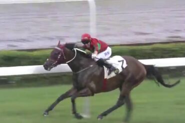 [HKIR 2015] Trackside Interview – John Moore (Trainer of DOMINANT & HELENE HAPPY STAR)