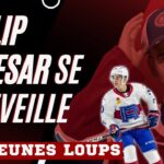 Filip Mesar la star - Le Rocket après 1 semaine