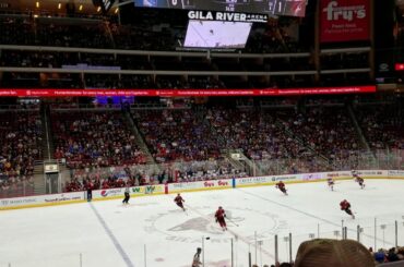 Arizona Coyotes Goal