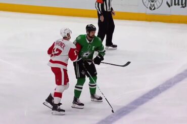 2020-01-03 Red Wings at Stars -- Dickinson shift 1