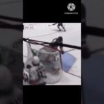 Ben Harpur revenge on Felix Sandström