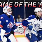AHL Free Live Stream - Rochester Americans Vs Syracuse Crunch | Watch Live On FloHockey