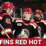What is driving the Griffins' red hot start? Ft. Andrew Rinaldi of the Calder Times