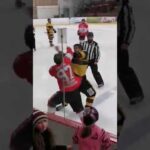 HockeyFight video LHSLF Simard vs Dufour 18 janvier 2020