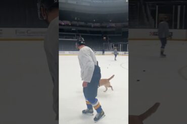 МИЛОТА ДНЯ / ПАВЕЛ БУЧНЕВИЧ И СОБАКА НА ТРЕНИРОВКЕ "БЛЮЗ"