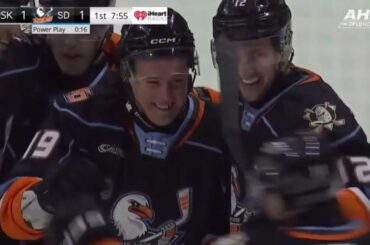 Recap: San Diego Gulls vs Henderson Silver Knights